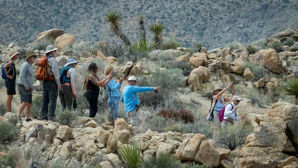 A group of people outside of Joshua Tree 
