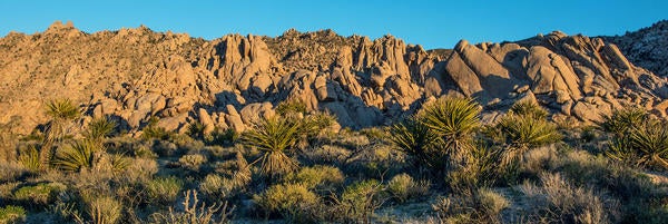 Granite Mountains UCR Natural Reserve (c) Mark Chappell
