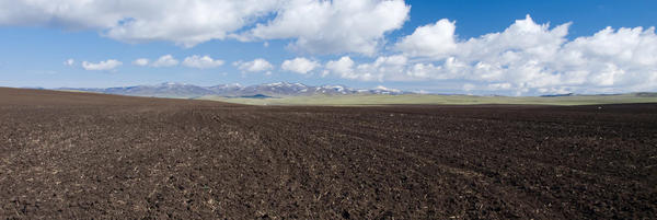 Unsplash-Soil