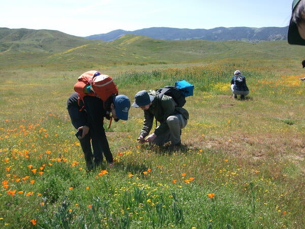 Students in conducting fieldwork