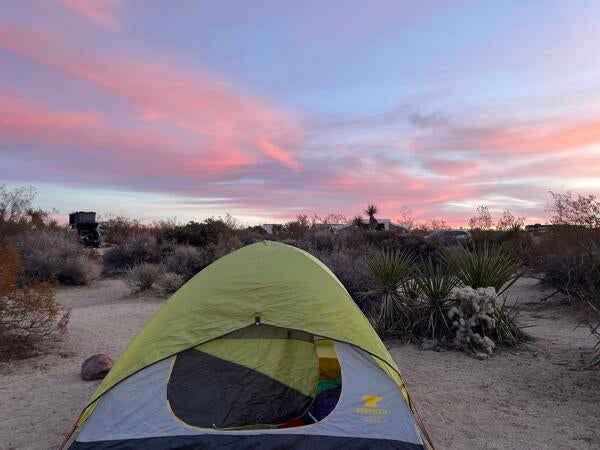 A tent sits set up with its door open and sleeping bags inside at sunset