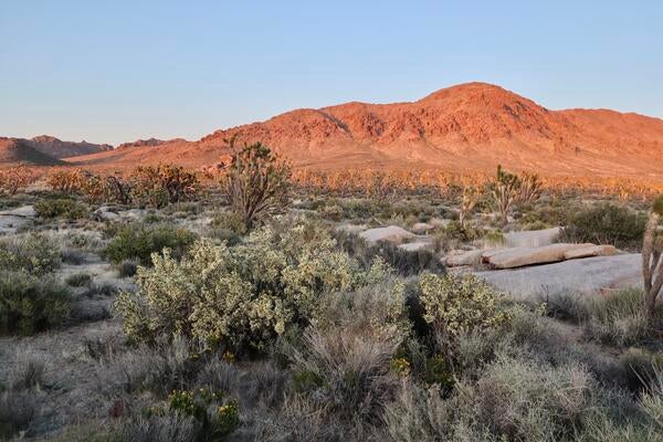 Desert mountains at sunset