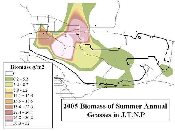 2005 Biomass map of Summer Annual Grasses in Joshua Tree National Park