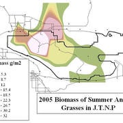 2005 Biomass map of Summer Annual Grasses in Joshua Tree National Park